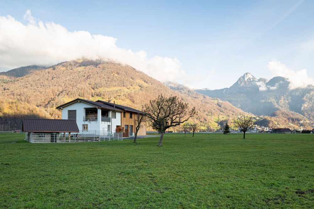 1169 jud architekten