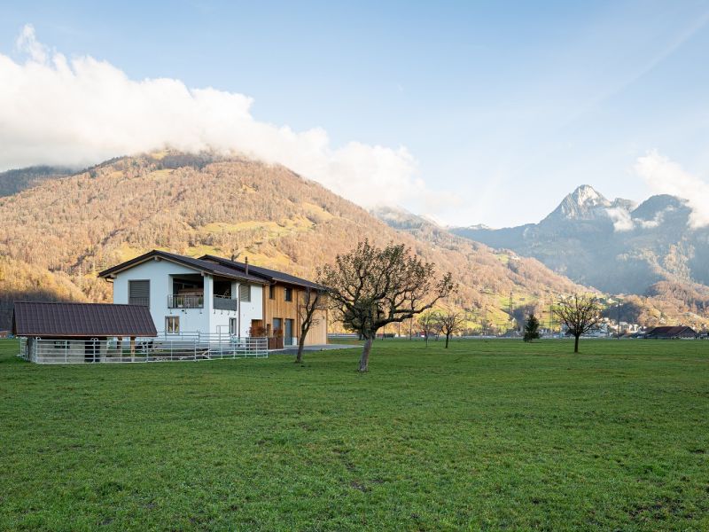 Schmidenwis – Mollis