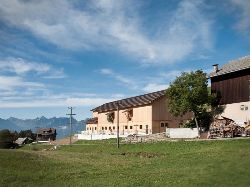 1272 Laufstall Sell – Amden