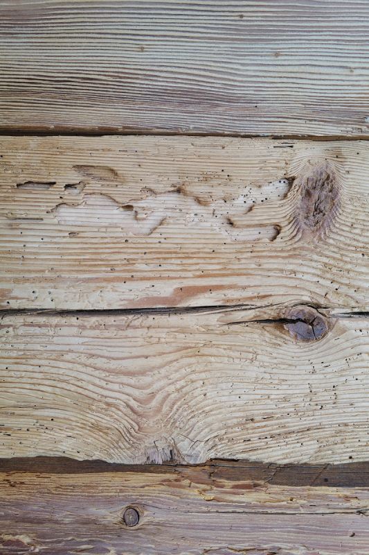 1818 judarchitekten neu