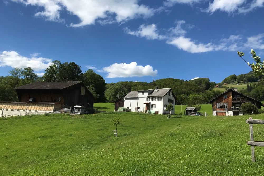 1818 judarchitekten neu